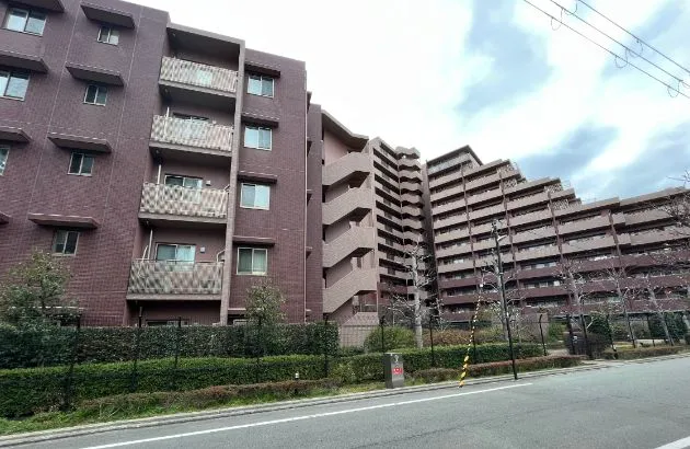 構造